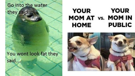 Funny memes 2021 | Funny Animal memes 😂 | Funny Animal memes that'll