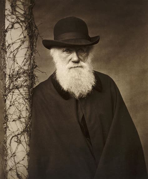 Charles Darwin Biografía Teoría Aportaciones Y Mucho Más