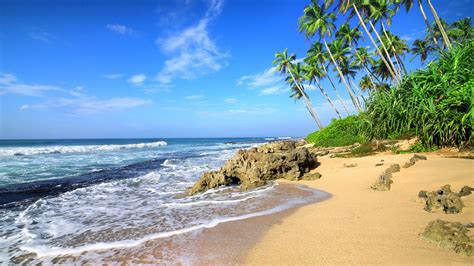 Download Beach Sea Waves Tropical Beach Palm Tree 1920x1080