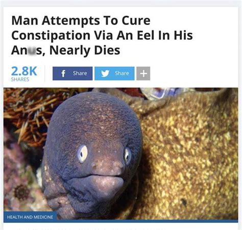 Man Attempts To Cure Constipation Via An Eel In His An 8 Nearly Dies