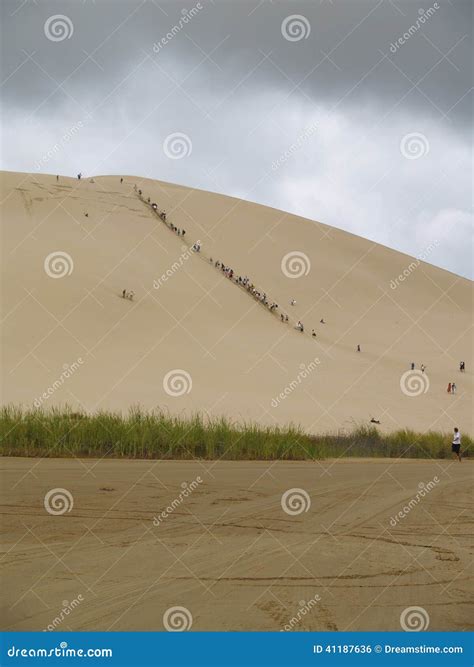 Sledding Sabbia Le Dune Si Avvicinano A Novanta Spiagge Nuova Zelanda