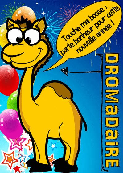 Dromadaire vous propose des cartes pour toutes les occasions : Carte D'anniversaire Gratuite De Dromadaire Awesome Carte ...
