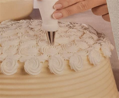 Wilton Method Of Cake Decorating Course 2 Flowers And Borders Etsy