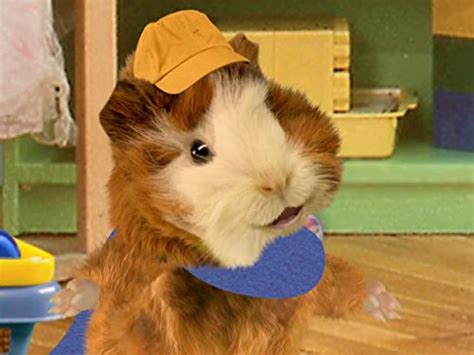 Watch Wonder Pets Season 1 English Voice Over Prime Video