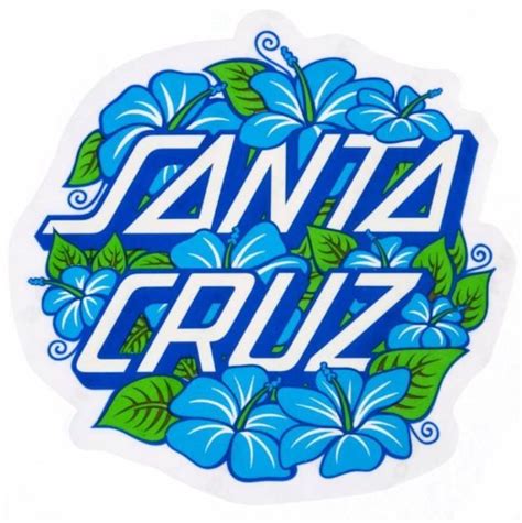 48 Best Images About Santacruz On Pinterest Santa Cruz Toms And Logos