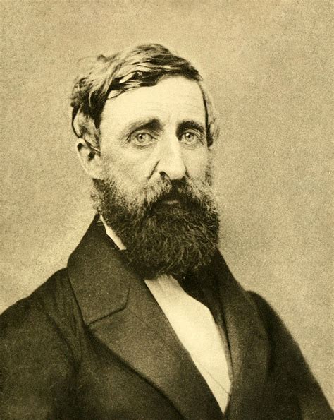 Henry David Thoreau Dona Holleman