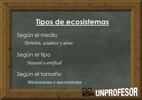 Tipos De Ecosistemas Y Sus Caracter Sticas Esquema V Deos