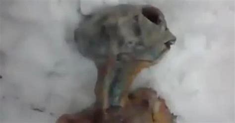 Viral Video Of Alien In Siberia Real Nyet Cbs News