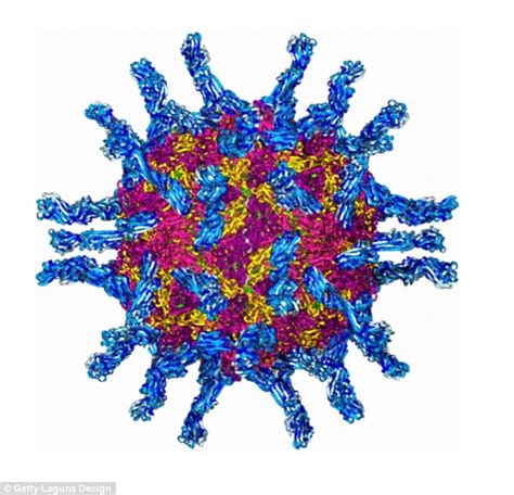 Could Polio Help Cure Cancer Therapy Harnessing The Virus Destroys