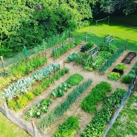 100 Top Idées Pour Faire Un Jardin Potager