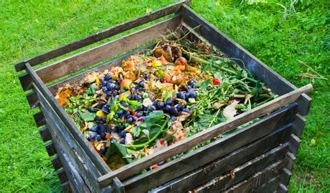 Compost O Composta Guía Práctica Usos Materiales