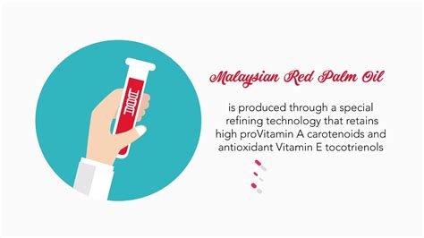 Here we review the nutrition benefits and concerns. Malaysian Red Palm Oil - Healthy Oil with Antioxidants ...