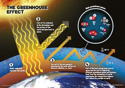 6 Infographics On The Environment Of Planet Earth Elesapiens Blog