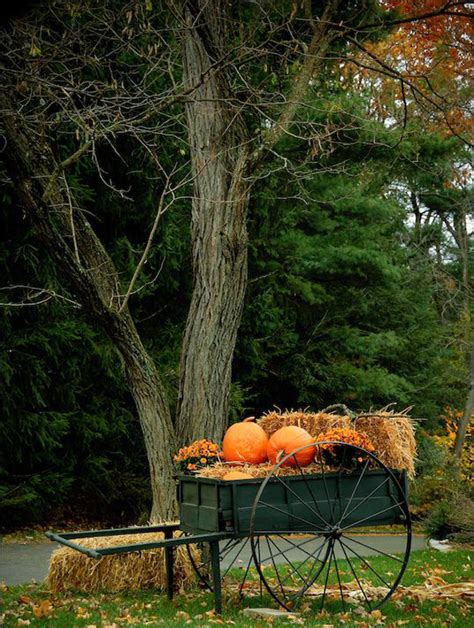 25 Mesmerizing Outdoor Fall Decor Ideas Homemydesign