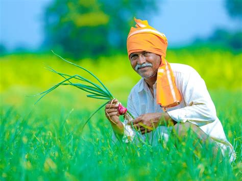 Can The Recent Reforms In Agriculture Sector Spell A Harvest Of Hope