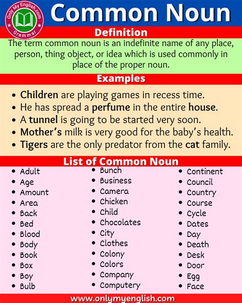 Common Noun Definition Examples And List Of Words English Grammar