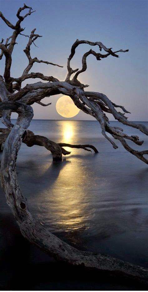 Fabulous Full Moon Photography To Keep You Fascinated Bored Art