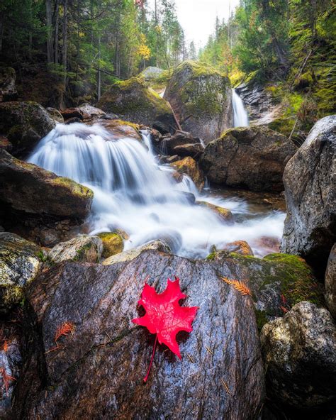 Silky Waterfalls And Autumn Go Well Together Sicamous Bc Canada Oc