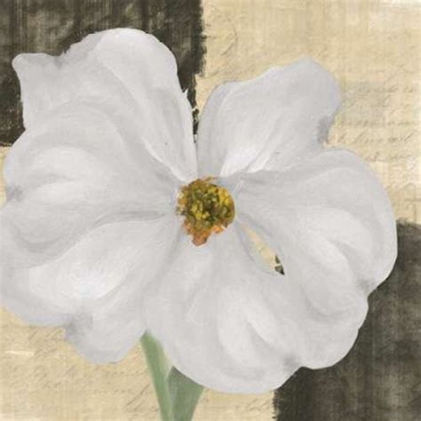 White Floral I Poster Print By Taylor Greene 12 X 12 Posterazzi