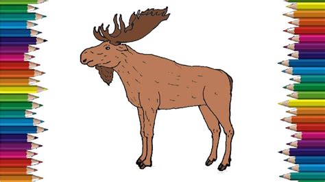 How To Draw A Moose Step By Step Easy Animals To Draw