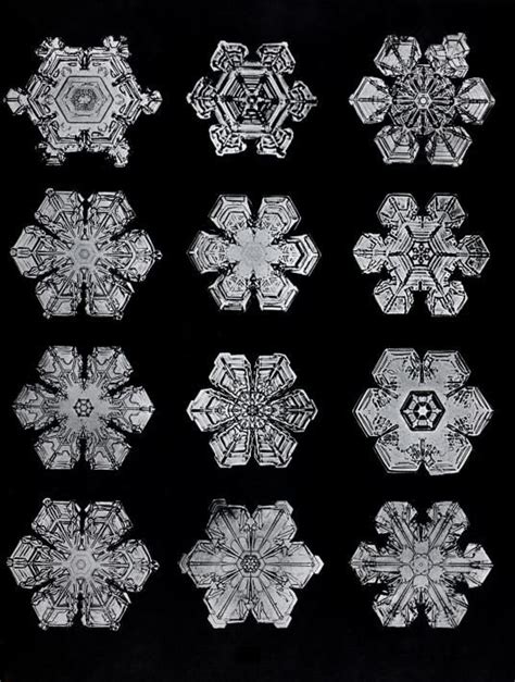Snowflakes Wilson Bentleys Civil War Harvard Art Museums Harvard