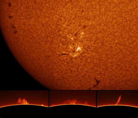 The Sun In Hydrogen Alpha Astronomy Pictures At Orion Telescopes