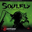 Soulfly(ソウルフライ)の情報まとめ | OKMusic - 全ての音楽情報がここに