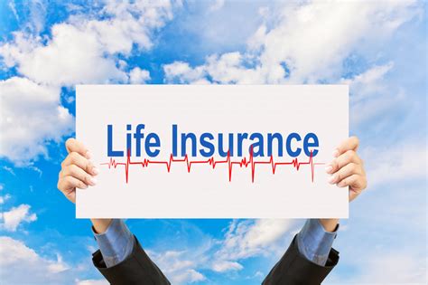 Private life insurance (pli) solutions offer a unique level of protection to investors. Small Business Personal Finance: 15 Best Life Insurance Companies of 2016 With Reviews