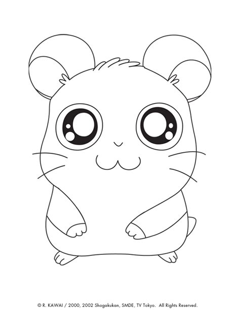 Desenho Hamster Para Colorir Desenhos De Hamster Para Colorir Para Gr
