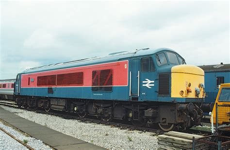 Class 44 46