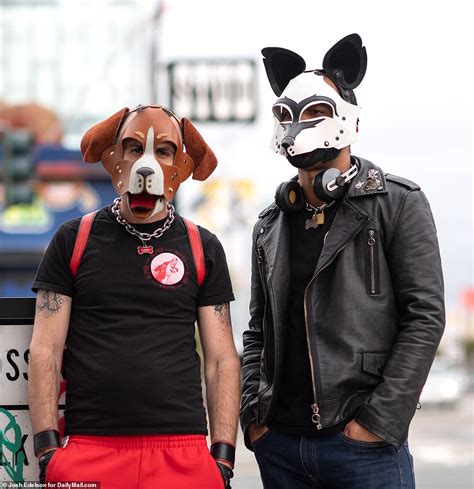 äußere Austausch Würstchen Petplay Dog Mask Kricket Aufzug Männlich