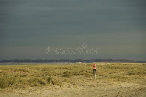 Beachlife Stock Photo Image Of Summer Landscape Sand 93395328
