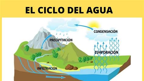 Imagenes Del Ciclo Del Agua Para Ninos Explicacion Resumen Y Esquema Images Images