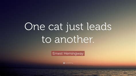 Ernest Hemingway Quotes About Cats Daily Quotes