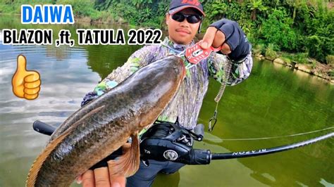 TES DAIWA BLAZON TAULA Sv Tw 2022 Mancing Casting Ikan Gabus YouTube