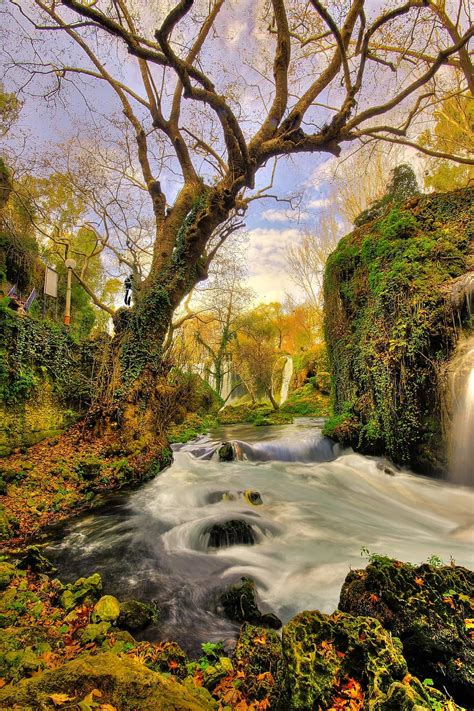 Illustration Of River Surrounded By Plants Illustration River Plants