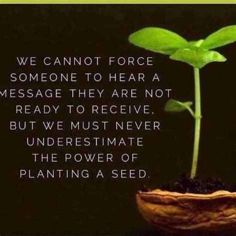 Https://tommynaija.com/quote/inspirational Plant A Seed Quote