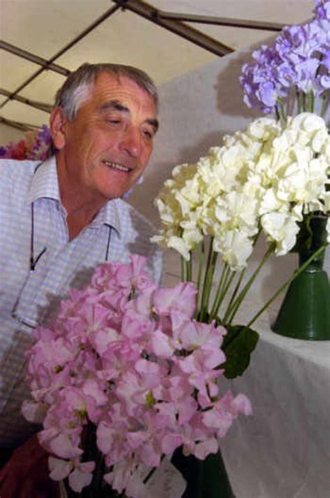 Wem Sweet Pea Show Pulls In Thousands In Pictures Shropshire Star