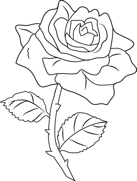 Rose Coloring Pages Printable Free