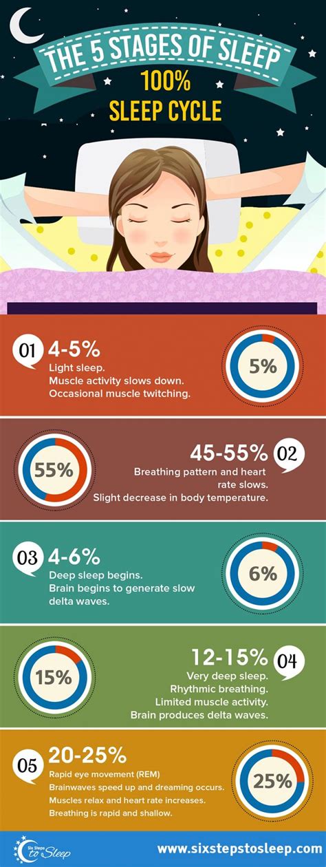 8 Understanding The Sleep Cycle And Stages Of Sleep Everything You