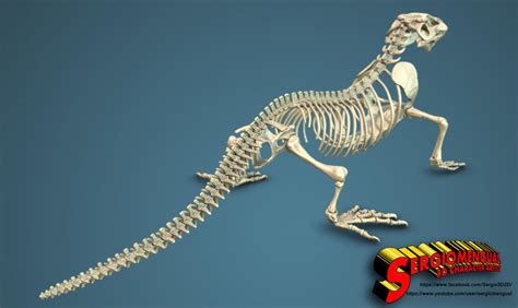 Archivo 3d Komodo Dragon Skeleton 3d Printable Model・modelo Para