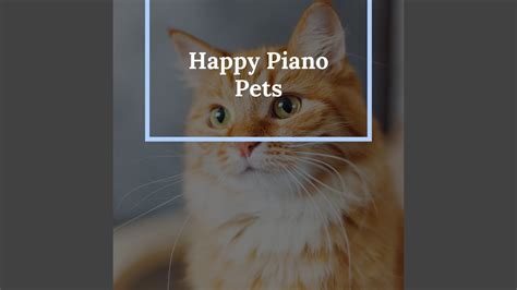 Chill Pet Piano Youtube