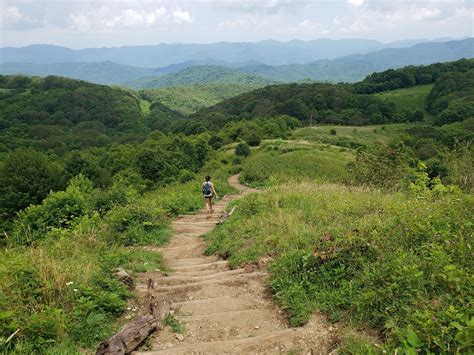 7 Of The Best Mountain Hiking Trails For Beginners In North Carolina