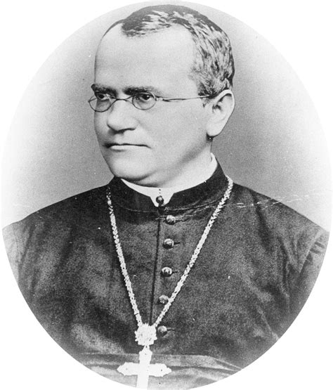 Gregor Johann Mendel Enciclopediacat