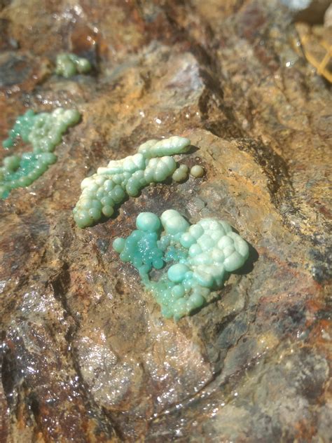Turquoise Specimen Found At The Sierra Nevada Turquoise Mine Rrockhounds