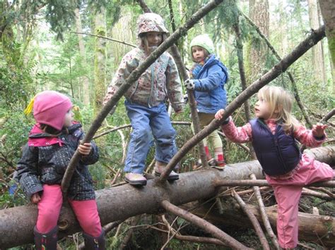 Nature And Play Cedarsong Forest Kindergarten Worldkids