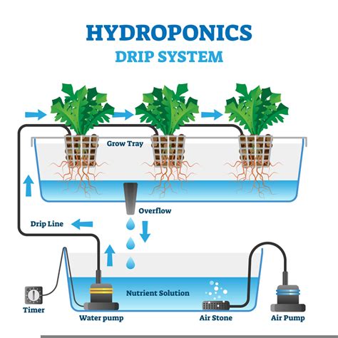 What Are The Different Hydroponic Systems Rise Hydroponics