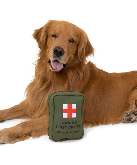 Adventure Dog First Aid Kit Wolf Republic