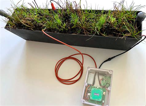 Microbial fuel cells and microbial electrolyzers. Plant-Microbial Fuel Cell Powered IoT - PC Perspective