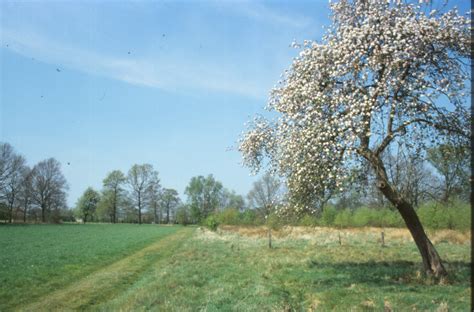 Free Photo Bright Landscape Bright Fields Flora Free Download